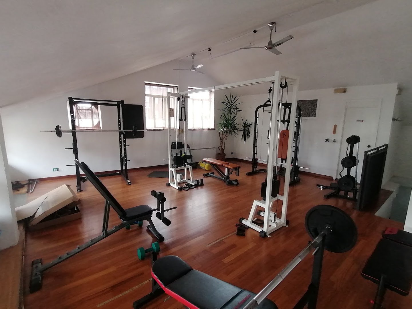 Wellness Lab 360 a.s.d. · Foto 2